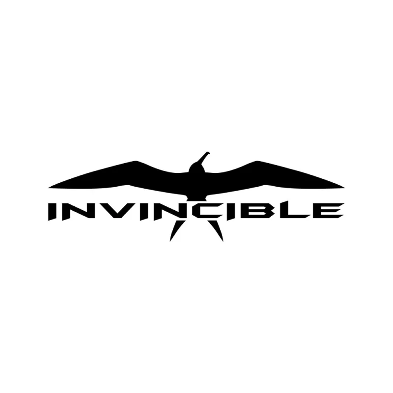 Invincible Boats